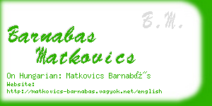 barnabas matkovics business card